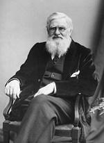 Alfred Russel Wallace, Dinosaurs, Dinosaur Expeditions, Dinolands, Prehistoric Life, Life, Walking with Dinosaurs, palaeontology, paleontology, fossils, fossil digs, dinodigs, dinosaur digs, ancient life, Mesozoic, Extinction, dinokids, Dinoman, Archaeology, Archeology,Geological Time Line