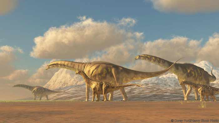 GeoZone, DinoZone, Gerald Allan Davie, Dinoman, dinosaurs, pterosaurs, ichthyosaurs, plesiosaurs, Mesozoic, Walking with Dinosaurs, Triassic, Jurassic, Cretaceous, Extinction, Trilobites, Cambrian Extinction, Cambrian, Permian, Dicynodonts, Trilobites, Cretaceous Tertiary, Cretaceous Paleogene, Jurassic Park, Jurassic World, Museums, Paleontology, Palaeontology, bones, archaeology, argentinosaurus, longest ever dinosaur
